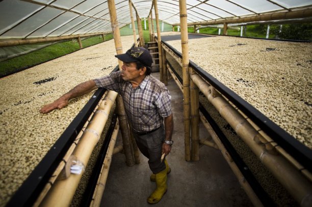 1437690263_965678_1437690593_album_normal